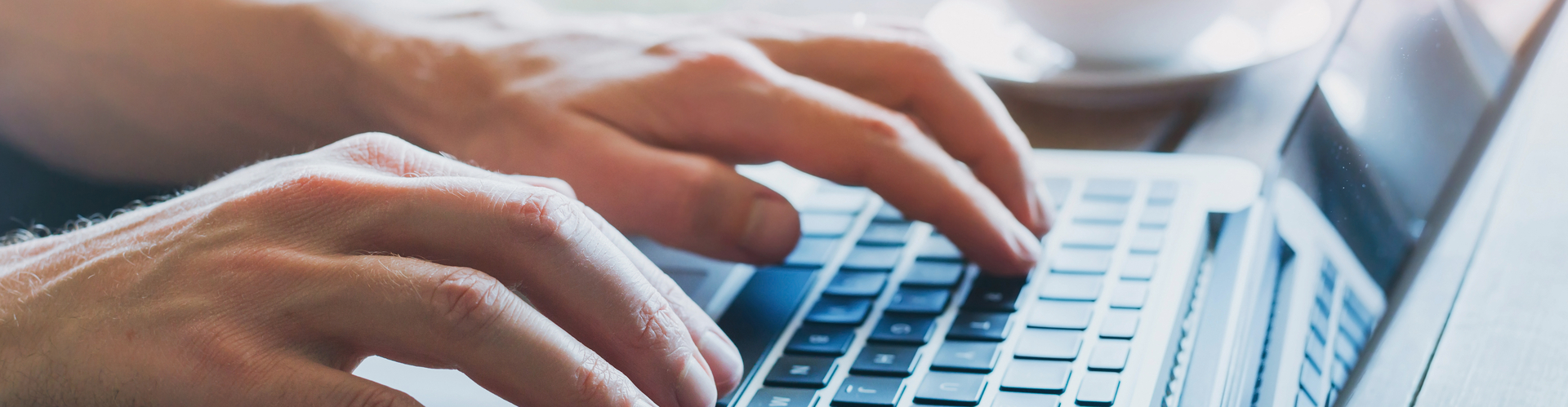 Person sucht im Internet nach einem Job